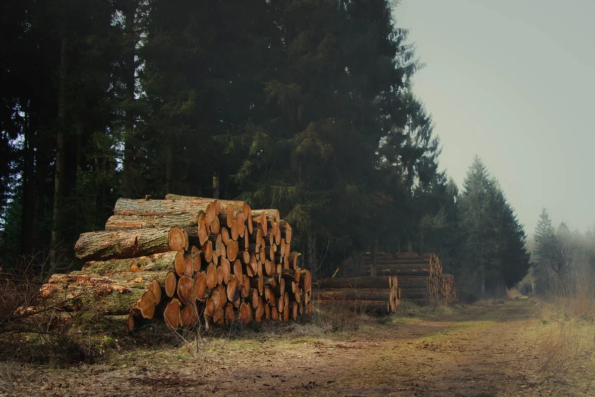 Why AI Logging Costs Are Crashing: Meet Ctrlb-Decompose